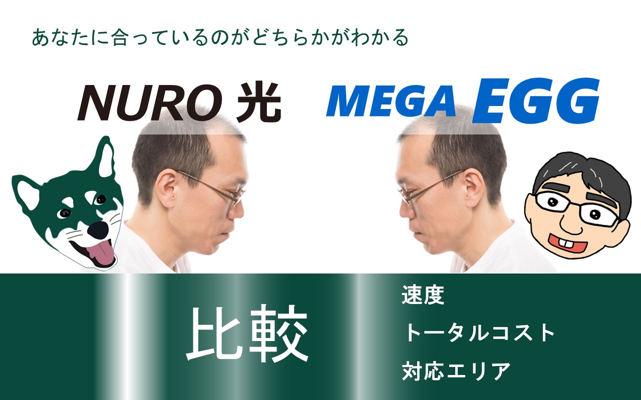 NURO光とメガエッグ(MEGA EGG)の比較　トータルコスト　対応エリア　速度